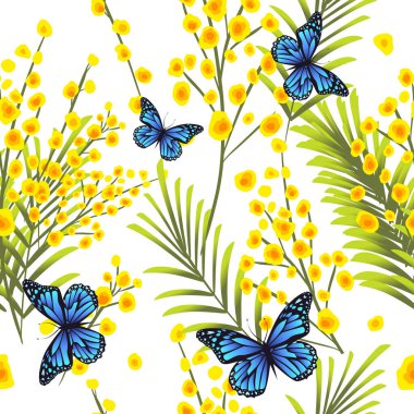 Kelebekli mimoza buketi. 8 Mart 'tan beri. Kusursuz bir geçmişi var. Vektör illüstrasyonu