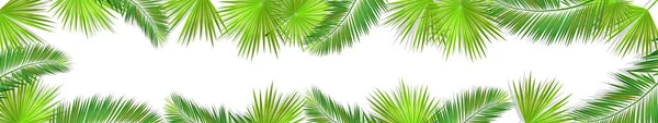 Длинная горизонтальная рамка пальмовых листьев. Привет, лето. Векторная иллюстрация — стоковый вектор