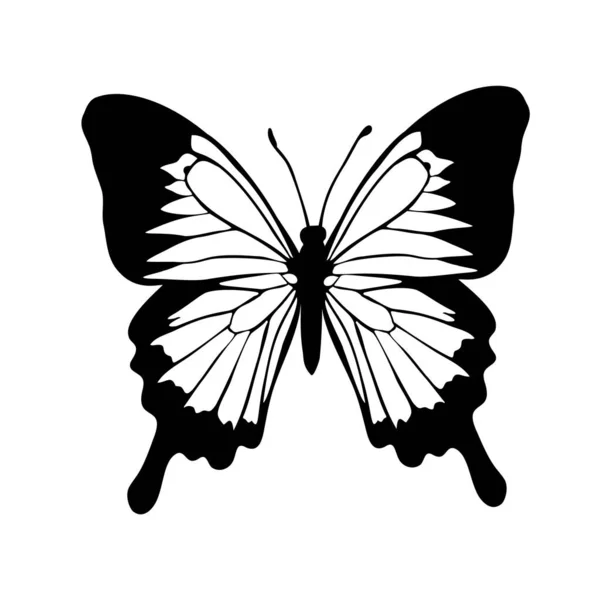 Farfalle grafiche volanti in bianco e nero. Illustrazione vettoriale. Farfalla tropicale su sfondo bianco — Vettoriale Stock