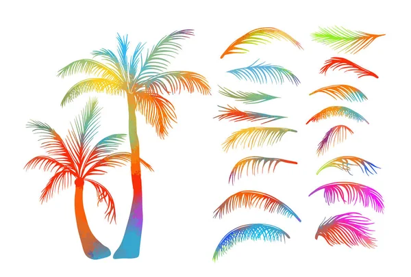 Palmeras multicolores. Hojas de palma. Ilustración vectorial — Vector de stock