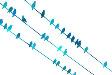 Kablolarda çok renkli kuşlar. Vektör illüstrasyonu