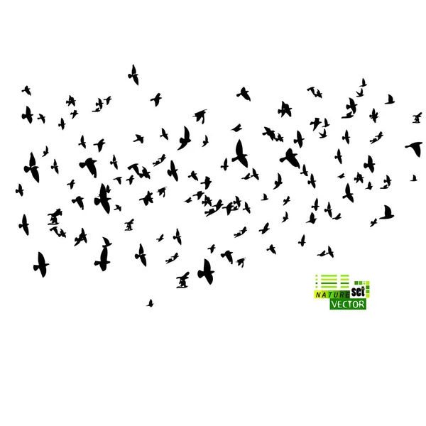 A large flock of flying birds. Vector illustration — Stock Vector