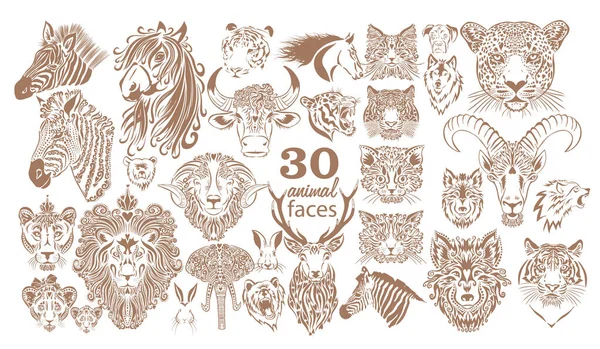 Zbiór zwierzęcych twarzy. Graficzne kagańce zwierząt. Ilustracja wektora — Wektor stockowy