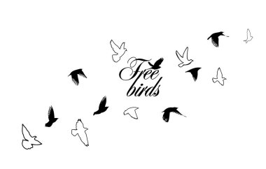 Uçan bir kuş sürüsü. Vektör illüstrasyonu