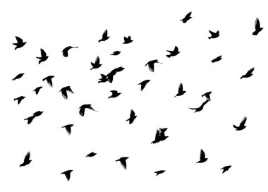 Uçan bir kuş sürüsü. Vektör illüstrasyonu