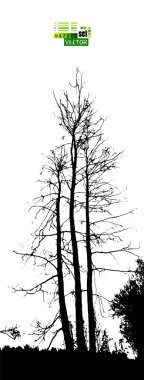 Çıplak ağaç dalları siluetleri olan bir arka plan. Doğaya dik bir bakış açısı. Vektör illüstrasyonu