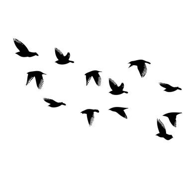 Uçan büyük bir kuş sürüsü. Özgür kuşlar. Vektör illüstrasyonu