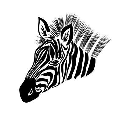 Monokrom zebra. Profil grafiklerine geçelim. Vektör illüstrasyonu