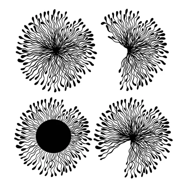 Set of monochrome dandelions. Decorative beautiful flowers line. Vector illustration