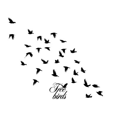 Uçan büyük bir kuş sürüsü. Özgür kuşlar. Vektör illüstrasyonu