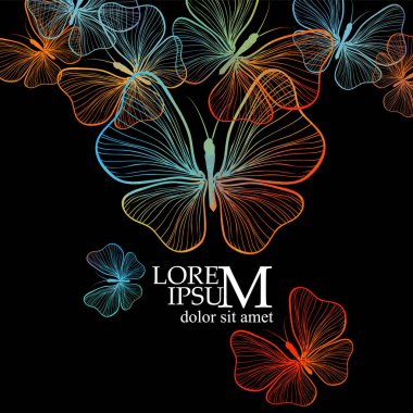 Siyah arka plandaki çizgilerden renkli zarif kelebekler. Vektör illüstrasyonu