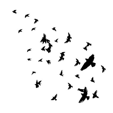 Uçan bir kuş sürüsü. Vektör illüstrasyonu