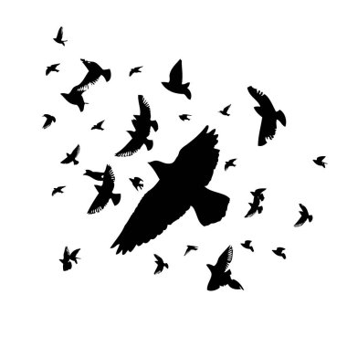 Uçan bir kuş sürüsü. Vektör illüstrasyonu