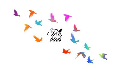 Kuş suluboya. Renkli bir kuş sürüsü. Vektör