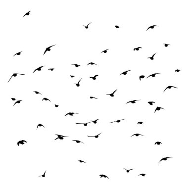 Uçan bir kuş sürüsü. Vektör illüstrasyonu