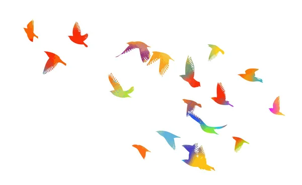 Vogelaquarel. Een kudde kleurrijke vogels. Gemengde media. Vectorillustratie — Stockvector