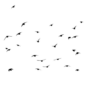 Uçan bir kuş sürüsü. Vektör illüstrasyonu