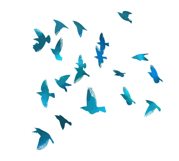 鸟的水彩画一群五彩斑斓的小鸟 — 图库矢量图片