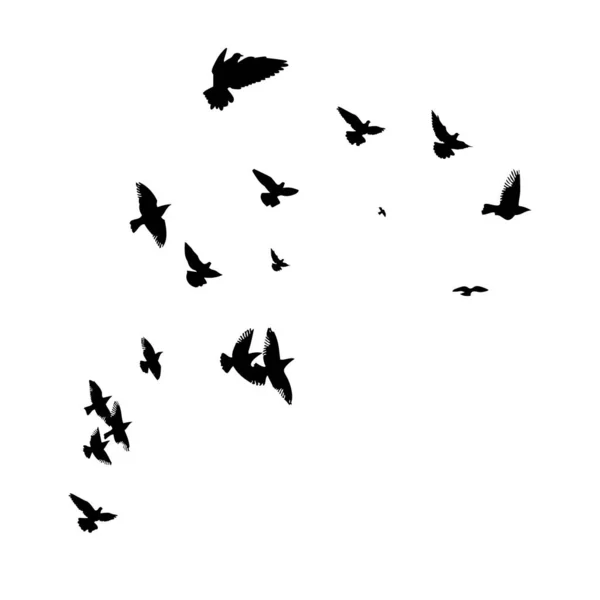 Ένα σμήνος από ιπτάμενα πουλιά. Εικονογράφηση διανύσματος — Διανυσματικό Αρχείο