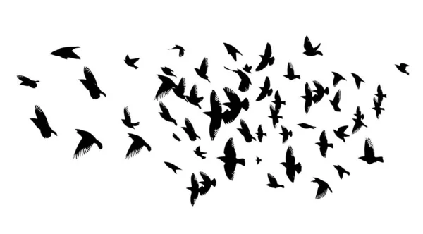 空飛ぶ鳥の群れ。ベクターイラスト — ストックベクタ