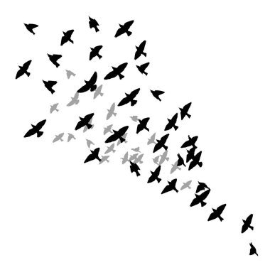 A flock of flying birds. Vector illustration clipart
