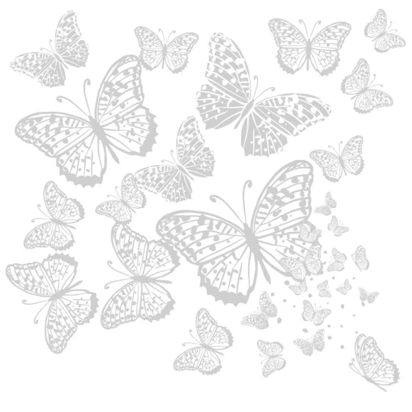 Grafické létání šedých motýlů. Vektorová ilustrace. Tropický motýl na bílém pozadí — Stockový vektor