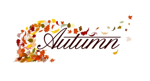 Abstração das folhas de outono. Fundo de folhas de outono. Ilustração vetorial — Vetor de Stock