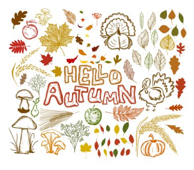 Merhaba Autumn. Bir dizi sonbahar eşyası. Vektör illüstrasyonu