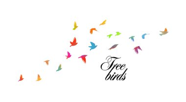 Renkli bir kuş sürüsü. Vektör illüstrasyonu