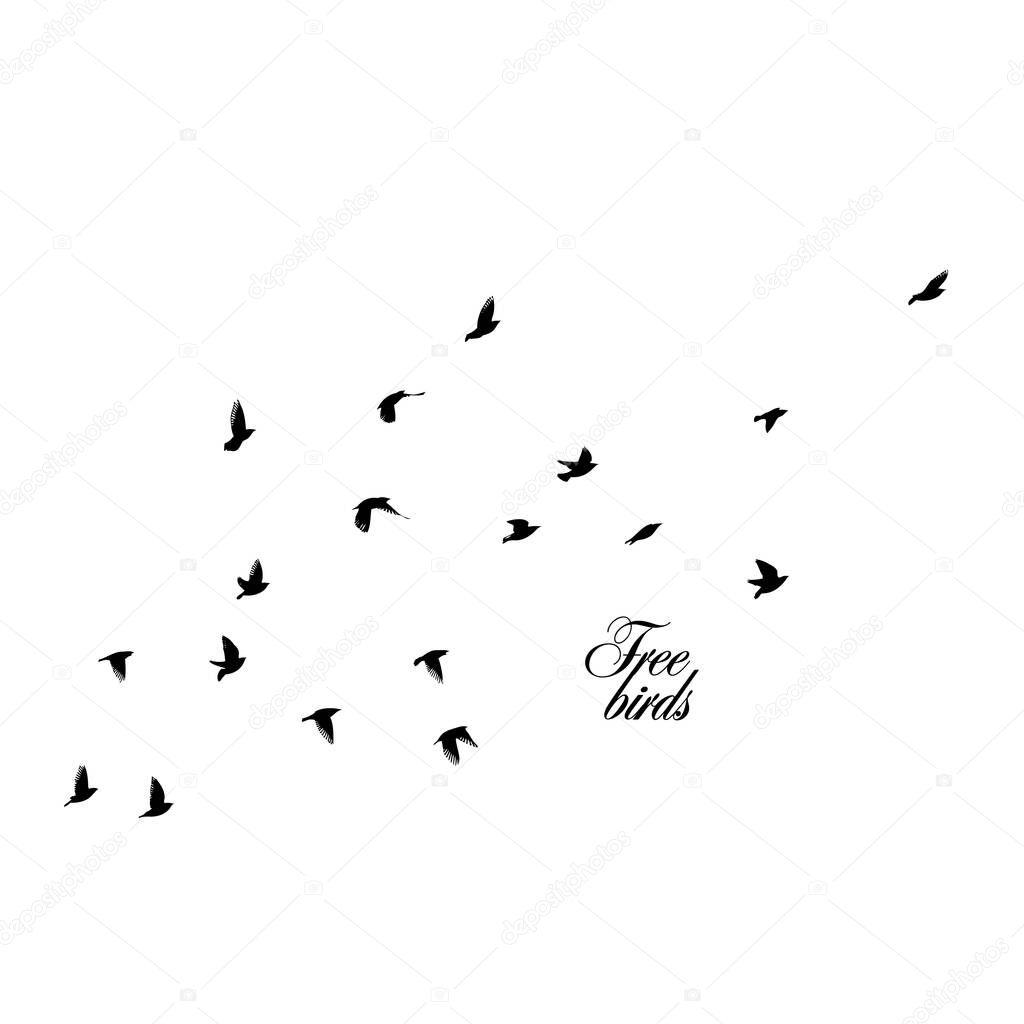 A flock of flying birds. Vector illustration