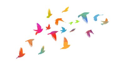 Renkli bir kuş sürüsü. Vektör illüstrasyonu