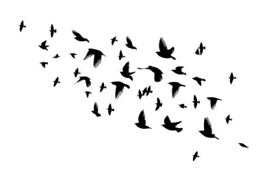 Uçan bir kuş sürüsü. Vektör illüstrasyonu