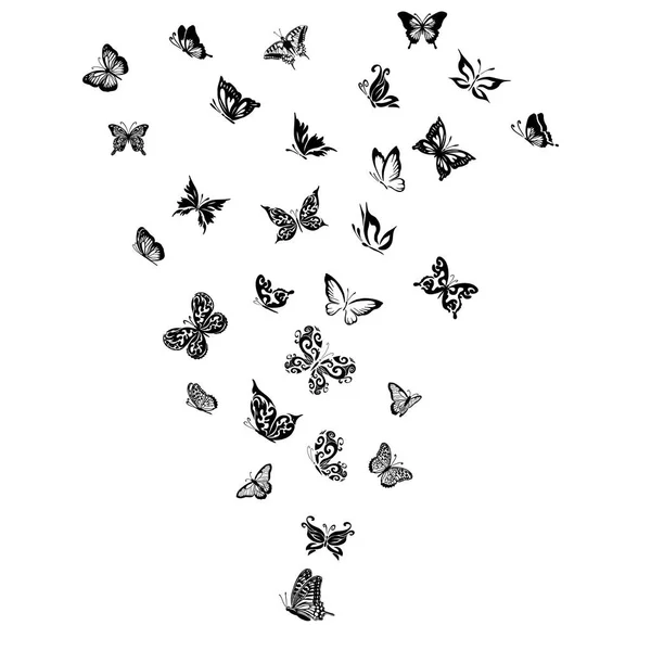 モノクローム蝶。抽象ベクトル図 — ストックベクタ