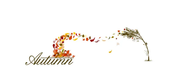 Un arbre nu est l'automne avec des feuilles tombantes. L'arbre se plie au vent et le feuillage s'envole. Illustration vectorielle — Image vectorielle