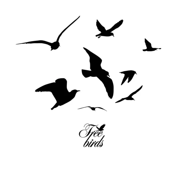 Gaivotas voadoras. Pássaros livres. Ilustração vetorial — Vetor de Stock