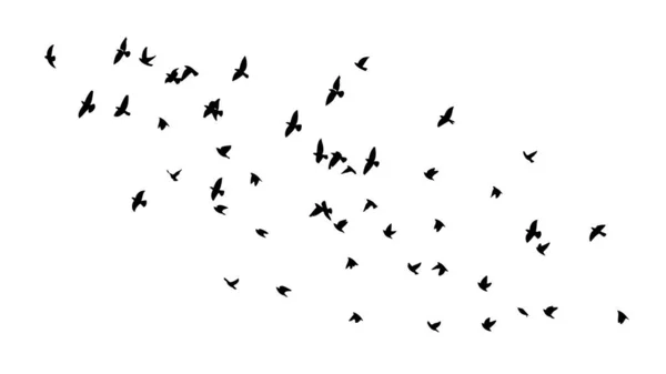 Un troupeau d'oiseaux volants. Illustration vectorielle — Image vectorielle