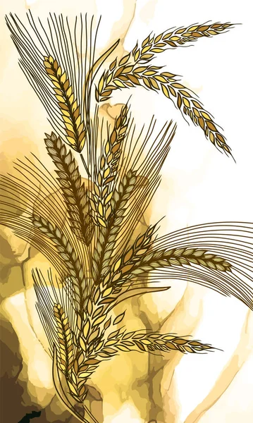 Абстрактный фон с колосьями пшеницы. Векторная иллюстрация — стоковый вектор