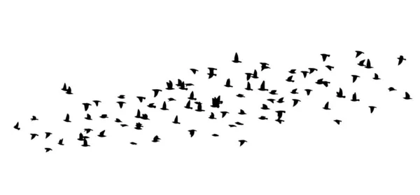 Un troupeau d'oiseaux volants. Illustration vectorielle — Image vectorielle