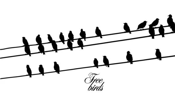 Ptaki na drutach. Ilustracja wektora — Wektor stockowy