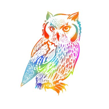 Baykuşun orijinal sanat eseri, etnik tarzda mürekkep el çizimi, çok renkli vektör çizimi. Karışık medya. Vektör illüstrasyonu