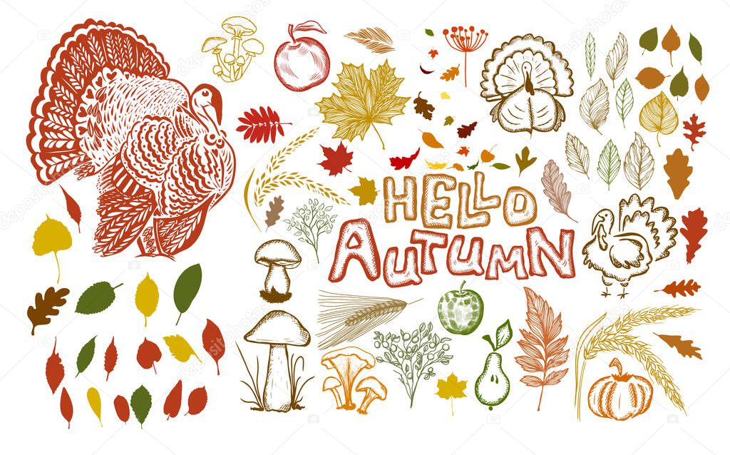 Hello Autumn. A set of autumn items. Vector illustration