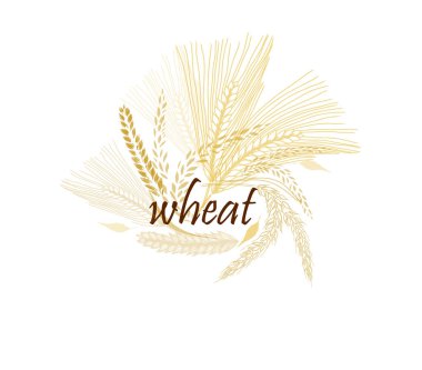 Buğday kulaklı soyut bir arka plan. Vektör illüstrasyonu