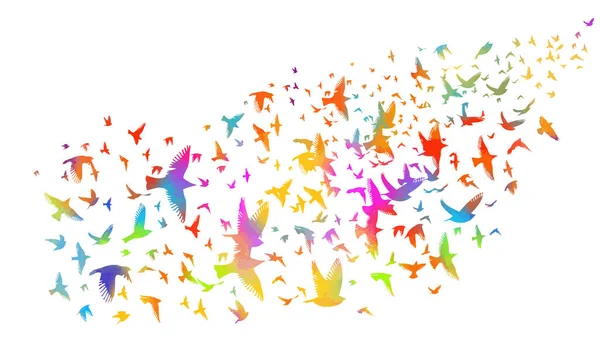 A flock of colorful birds. Vector illustration — Stock Vector