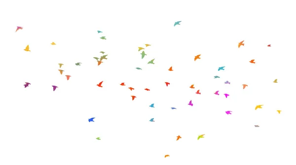 Стая разноцветных птиц. Векторная иллюстрация — стоковый вектор