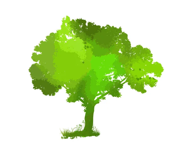 Grönt trädobjekt. Blandade medier. Vektorillustration — Stock vektor