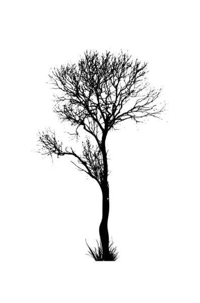 Black silhouette of a tree without leaves. Vector illustration — Stock Vector