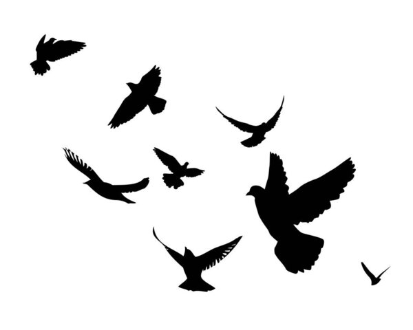 A flock of flying birds. Vector illustration