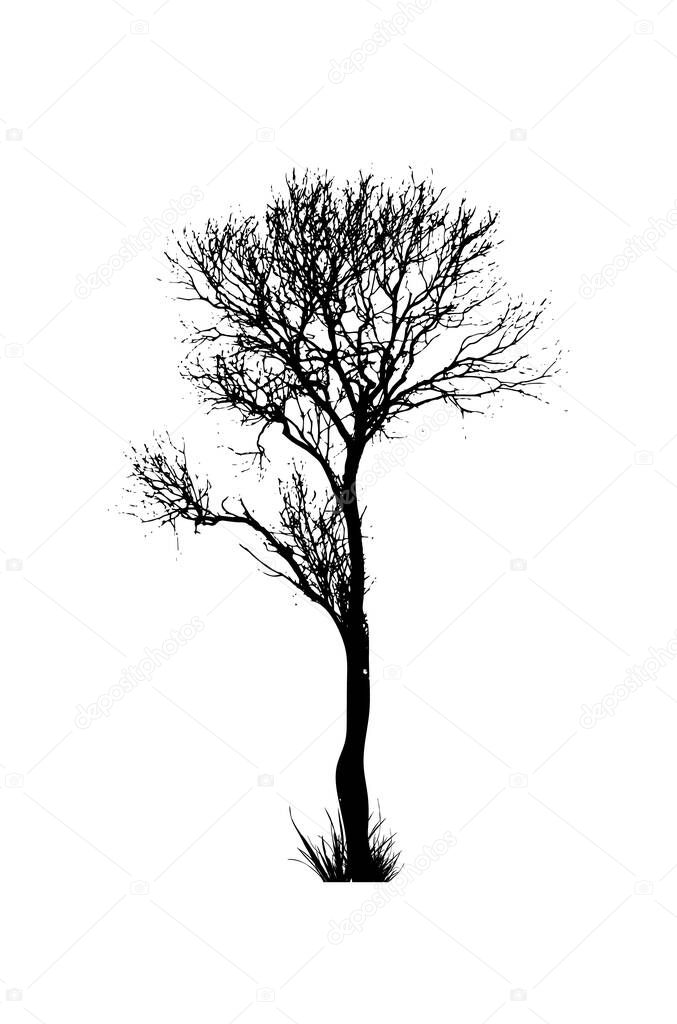 Black silhouette of a tree without leaves. Vector illustration