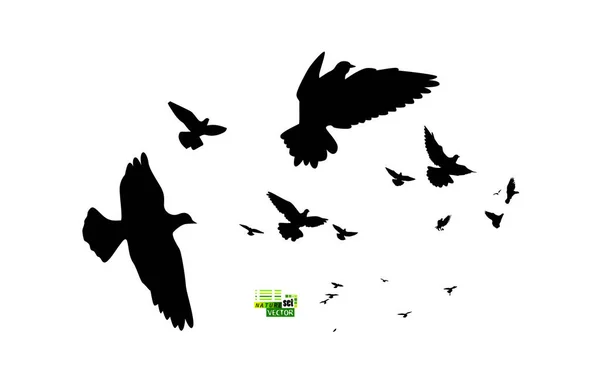 Een zwerm vliegende vogels. Vectorillustratie — Stockvector