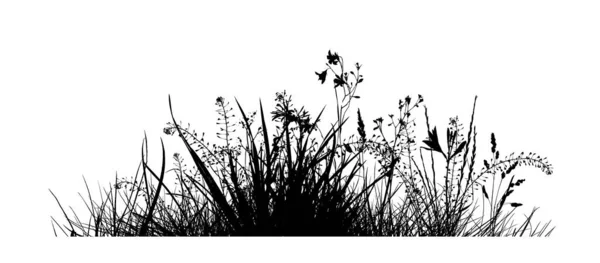 Травяной силуэт. Монохромная трава с цветами. Векторная иллюстрация — стоковый вектор